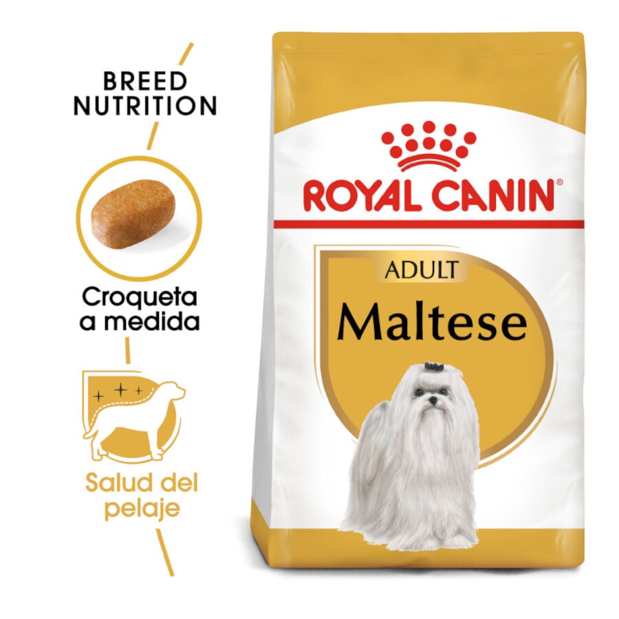 1.5 kg Royal Canin Adult Bich&oacute;n Malt&eacute;s pienso para perros, , large Imagen numero 2