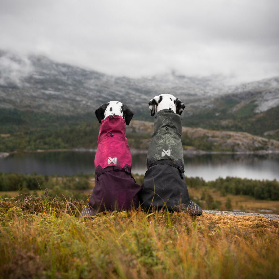 Non-stop dogwear Fjord Chubasquero Impermeable P&uacute;rpura para perros, , large indicador imagen numero 5