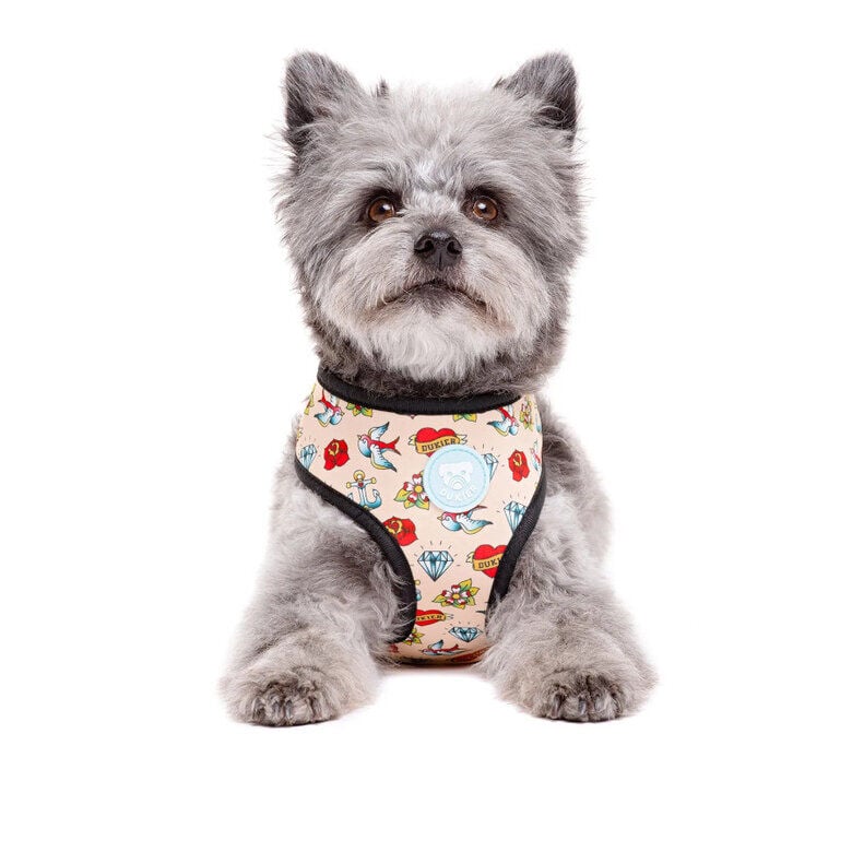 Dukier Arn&eacute;s Reversible Estampado Tattoo para perros, , large indicador imagen numero 3