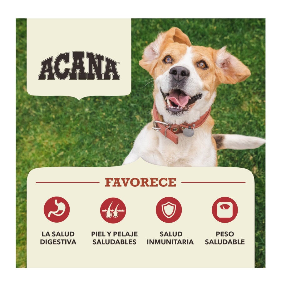 11.4 kg Acana Red Meat pienso para perros, , large indicador imagen numero 3