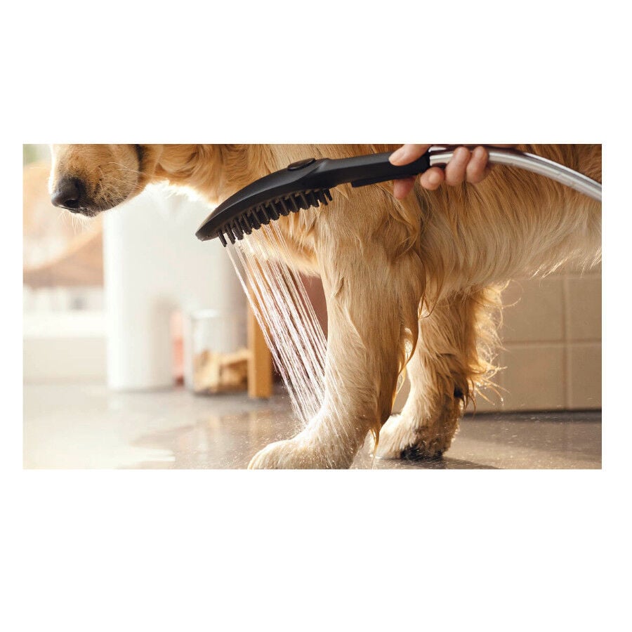 Hansgrohe Alcachofa de Ducha Negra para perros, , large indicador imagen numero 5