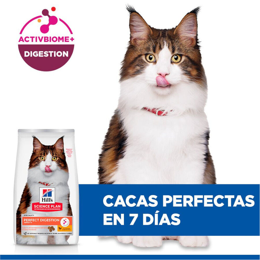 7 kg Hill's Science Plan Perfect Digestion Adult Pollo Pienso para gatos, , large Imagen numero 6