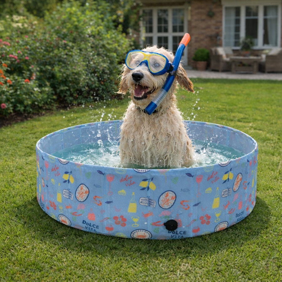 Summer Vibes Piscina Dolce Vita Refrescante para perros, , large Imagen numero 1