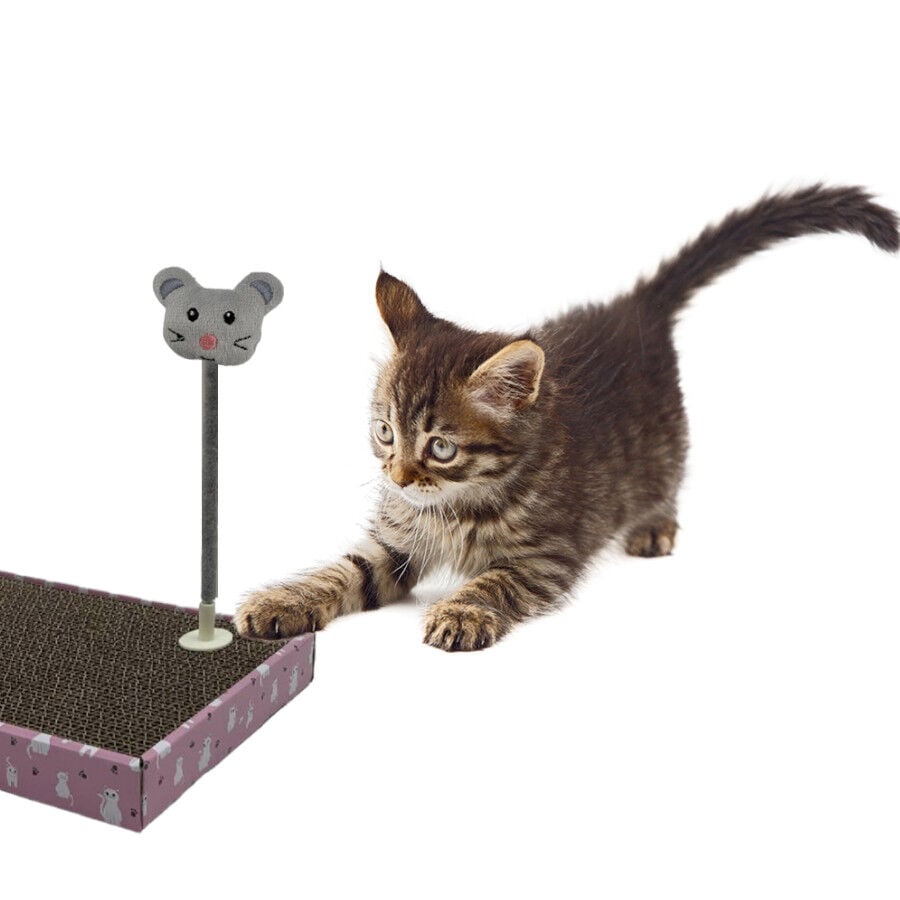 Leeby Babette juguete rat&oacute;n para rascador de gatos, , large Imagen numero 1