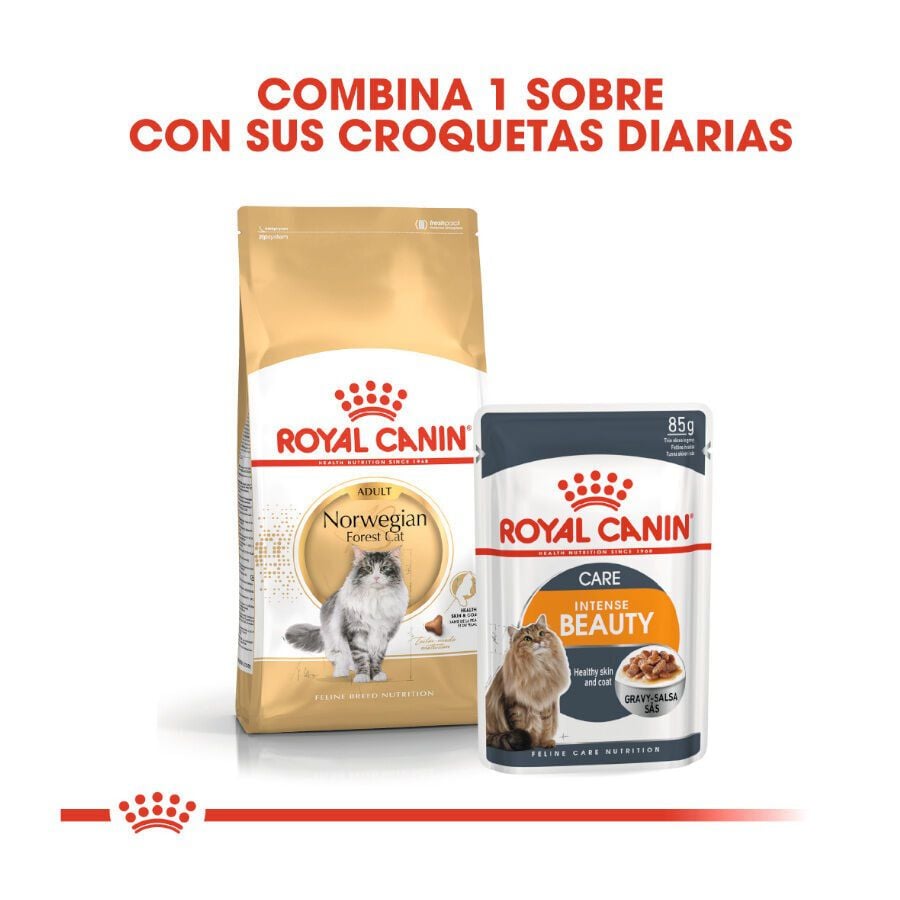 10 kg Royal Canin Adult Norwegian Forest pienso para gatos, , large Imagen numero 3