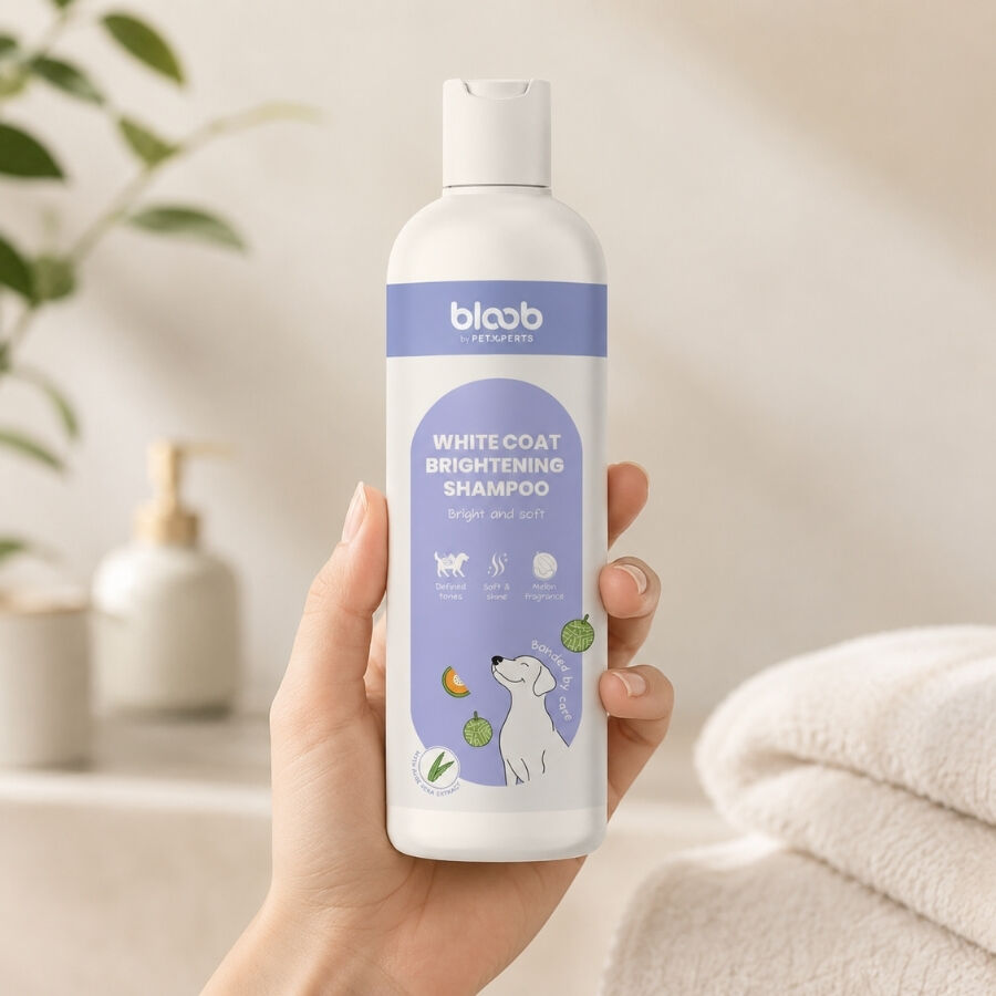 Bloob Champ&uacute; Realzador Mantos Blanco Mel&oacute;n para perros, , large indicador imagen numero 1