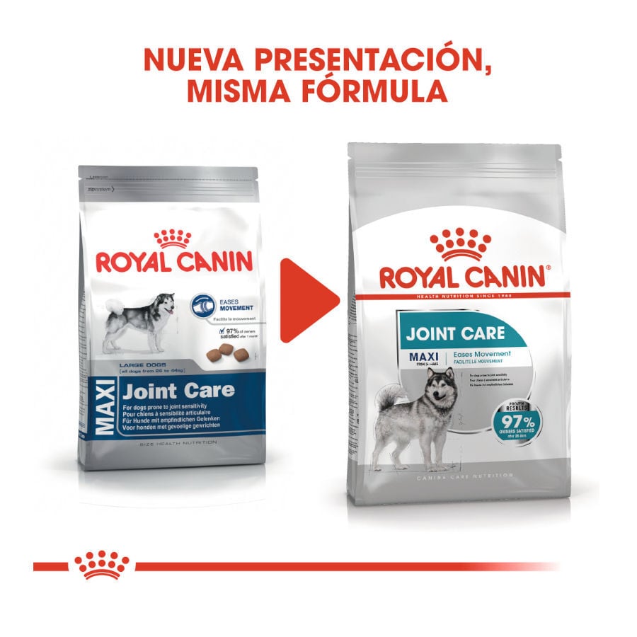 10 kg Royal Canin Joint Care Maxi pienso para perros, , large Imagen numero 3