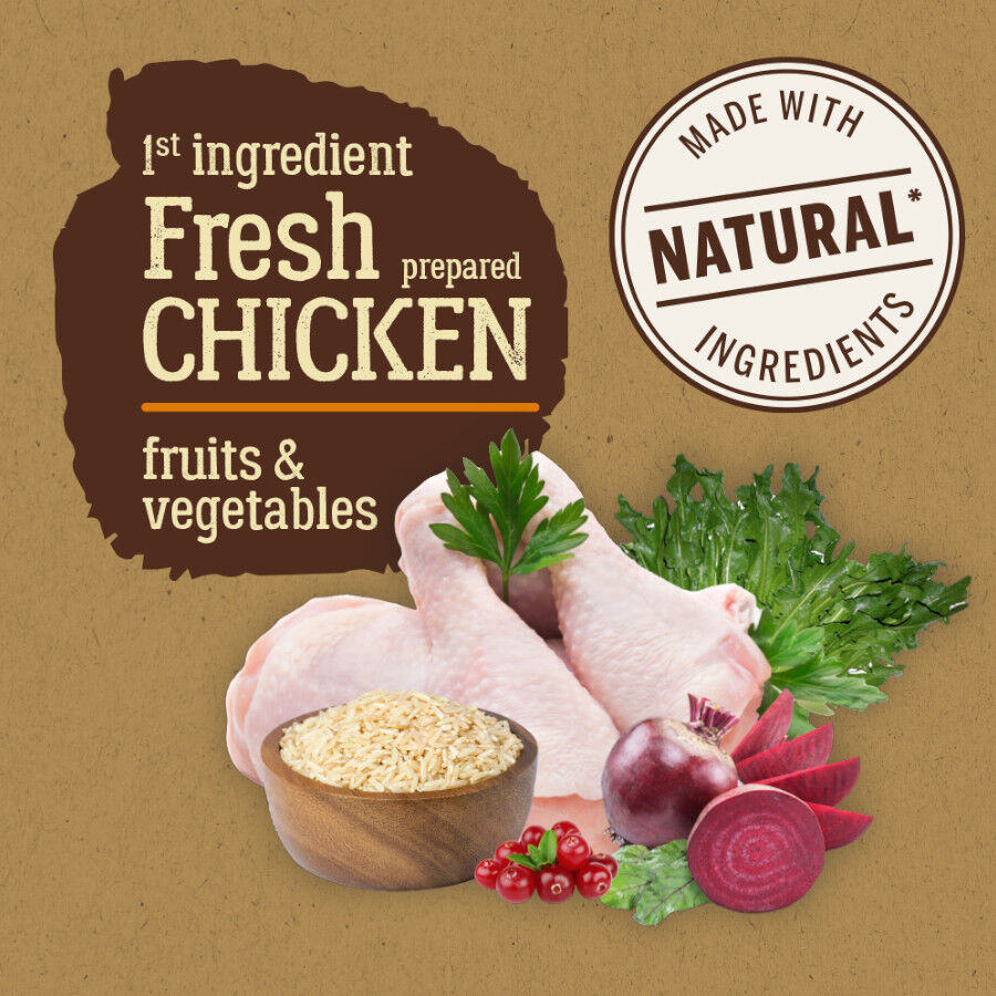 2 kg True Origins Pure Kitten Poultry Pollo pienso para gatos, , large Imagen numero 3