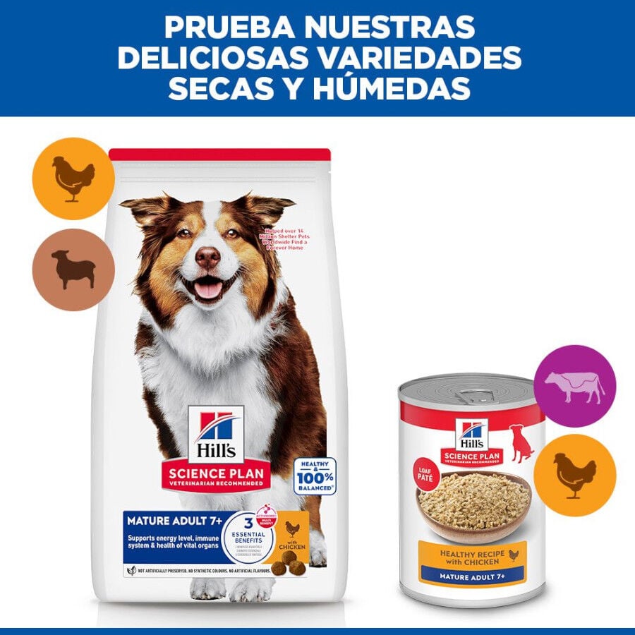14 kg Hill's Science Plan Mature Adult Medium Pollo pienso para perros, , large Imagen numero 8