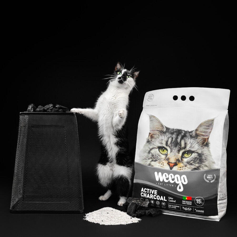 Weego Active Charcoal Arena aglomerante para gatos, , large Imagen numero 5