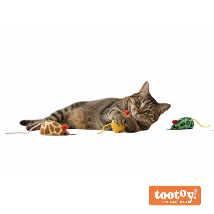 Tootoy! Pack de Ratones con Catnit Estampados para gatos, , large indicador imagen numero 9