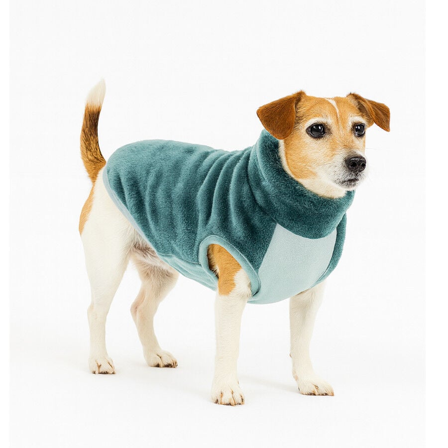 Outech Forro Polar Aguamarina para perros, , large Imagen numero 3