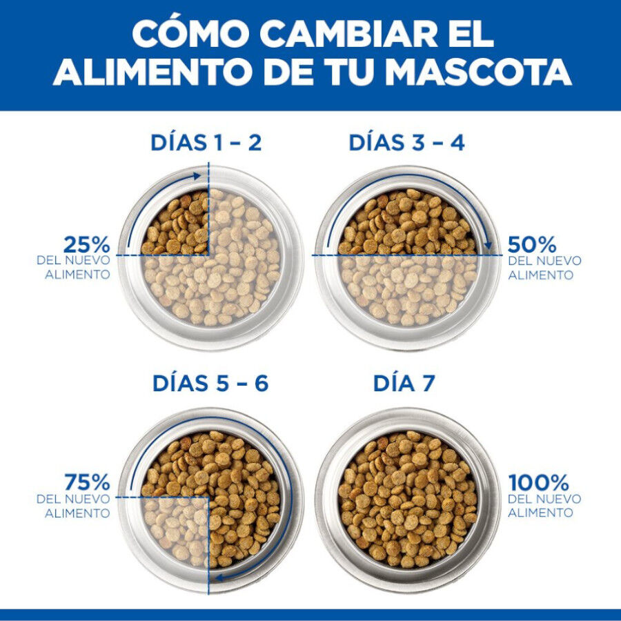12 kg Hill's Science Plan Perfect Weight Adult Medium Pollo pienso para perros, , large Imagen numero 4
