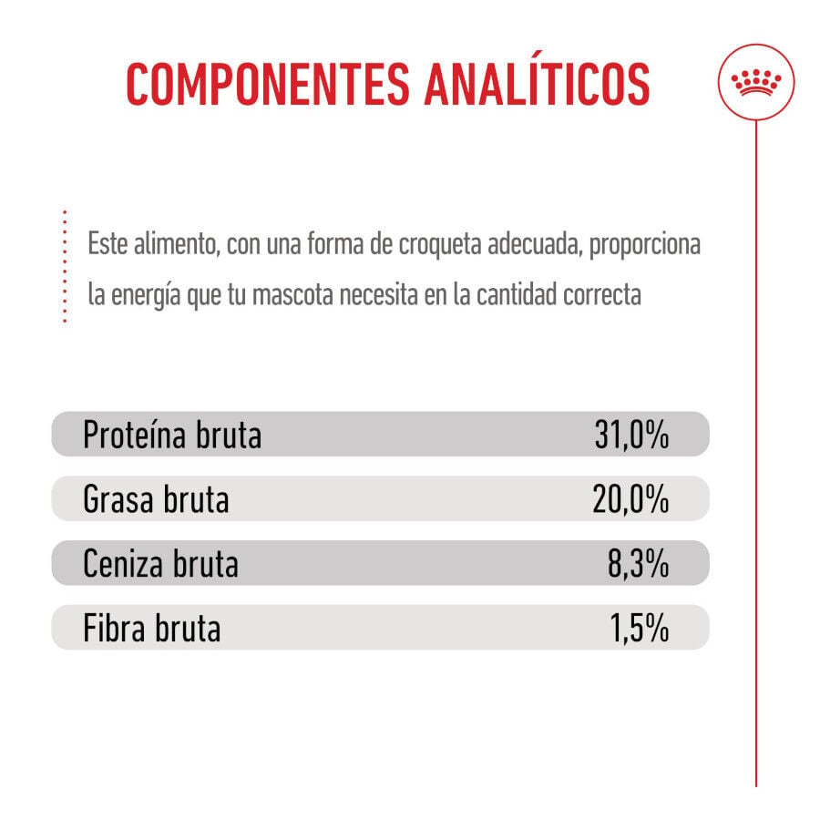 3 kg Royal Canin X-Small Puppy pienso para perros, , large Imagen numero 9