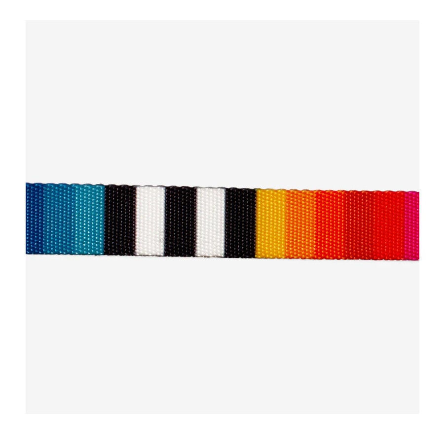 Zee Dog Prisma Collar para perros, , large Imagen numero 4