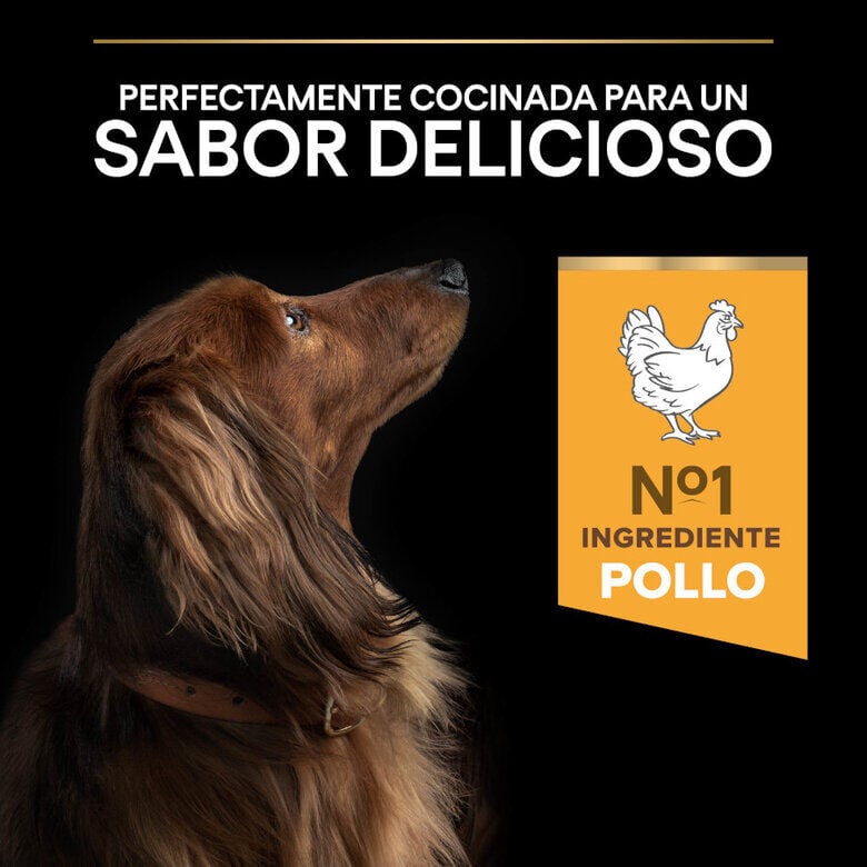 3 kg Pro Plan Adult Small y Mini Pollo pienso para perros S&eacute;nior +9, , large indicador imagen numero 7