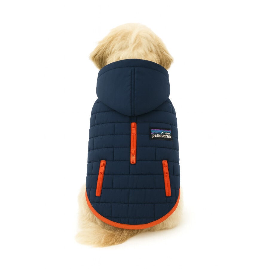 Outech Abrigo Impermeable Azul para perros, , large Imagen numero 1