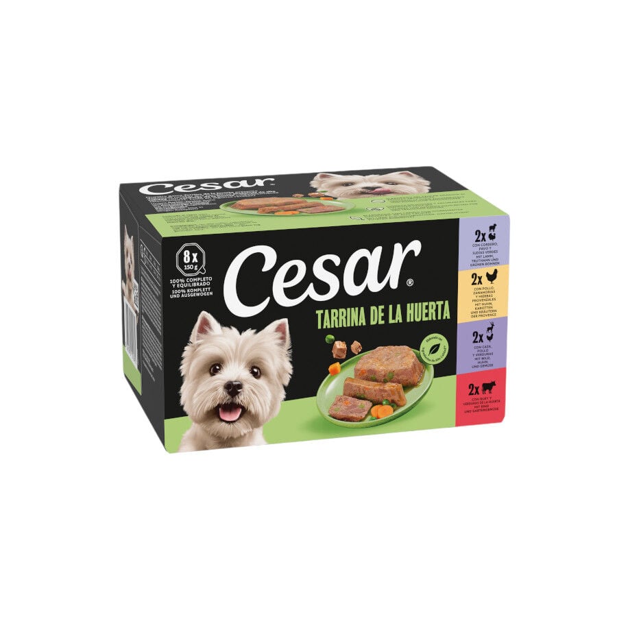 Cesar Recetas de la huerta Tarrina en Pat&eacute; y Gelatina para Perros - Multipack