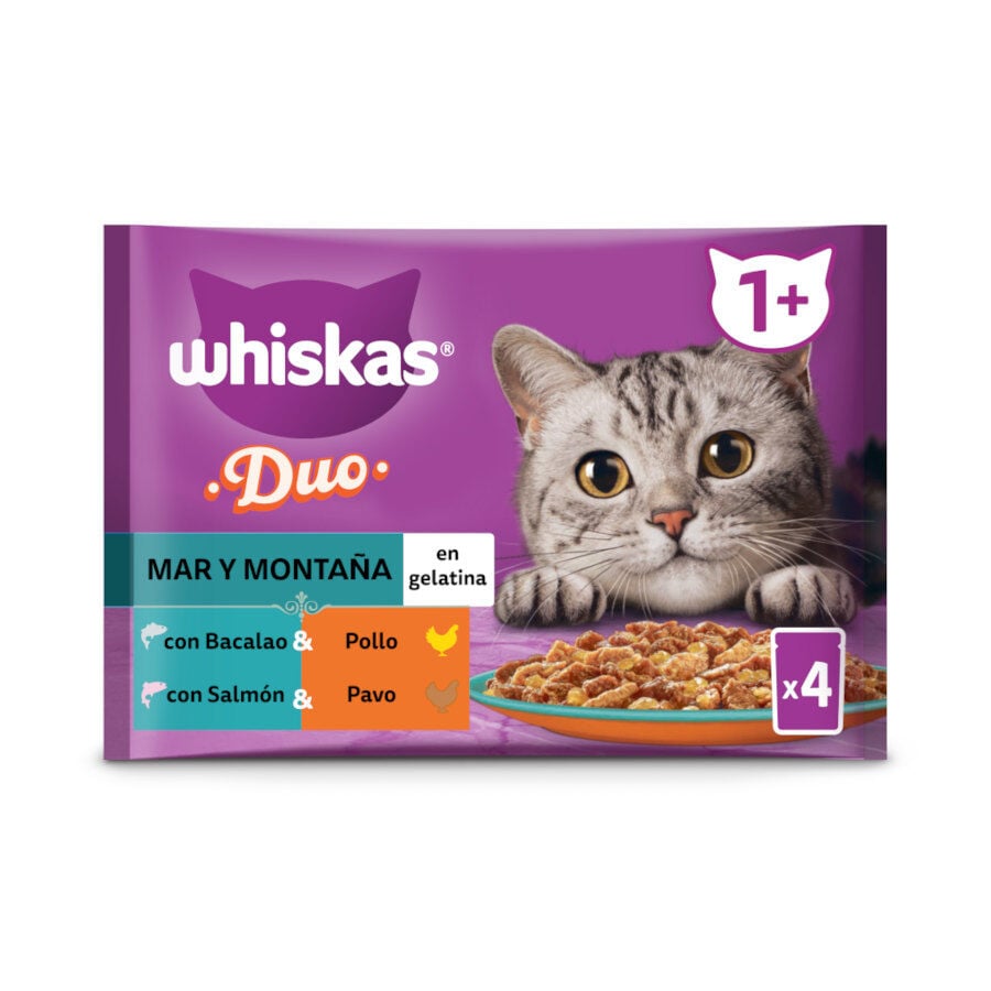 Whiskas Duo Mar y Monta&ntilde;a Sobre en gelatina para gatos