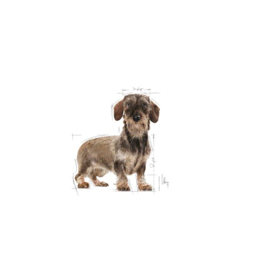 1.5 kg Royal Canin Light Weight Care X-Small pienso para perros, , large indicador imagen numero 3
