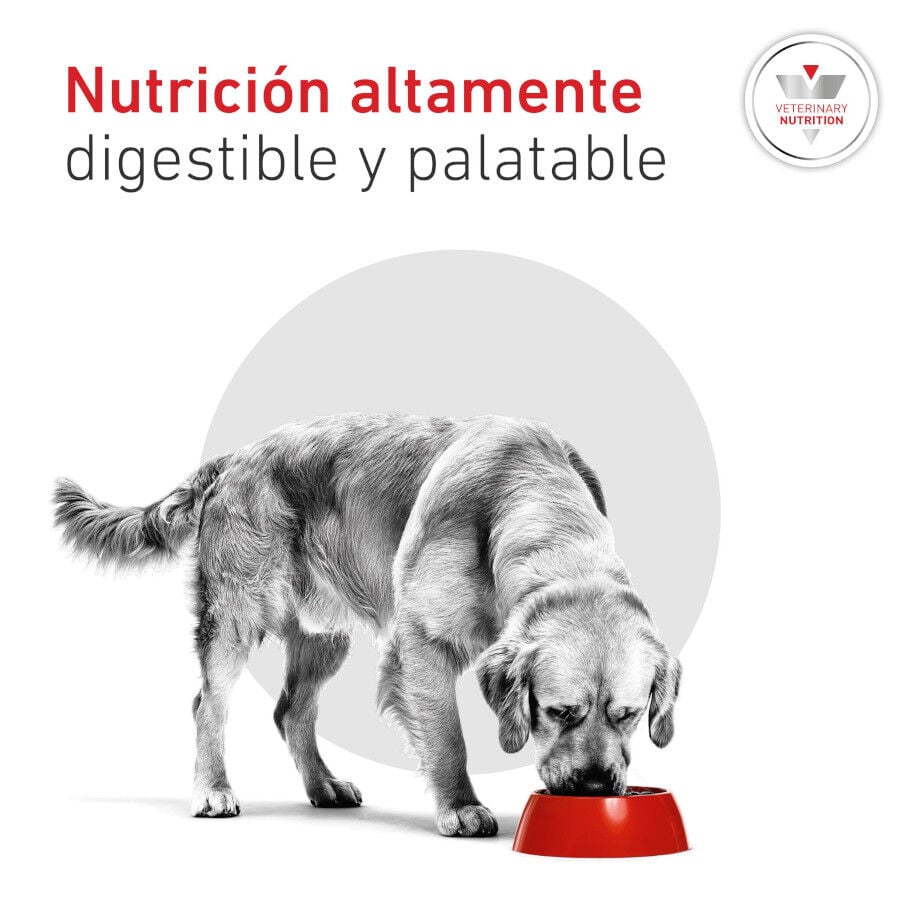 12 kg Royal Canin Veterinary Diabetic pienso para perros, , large Imagen numero 5