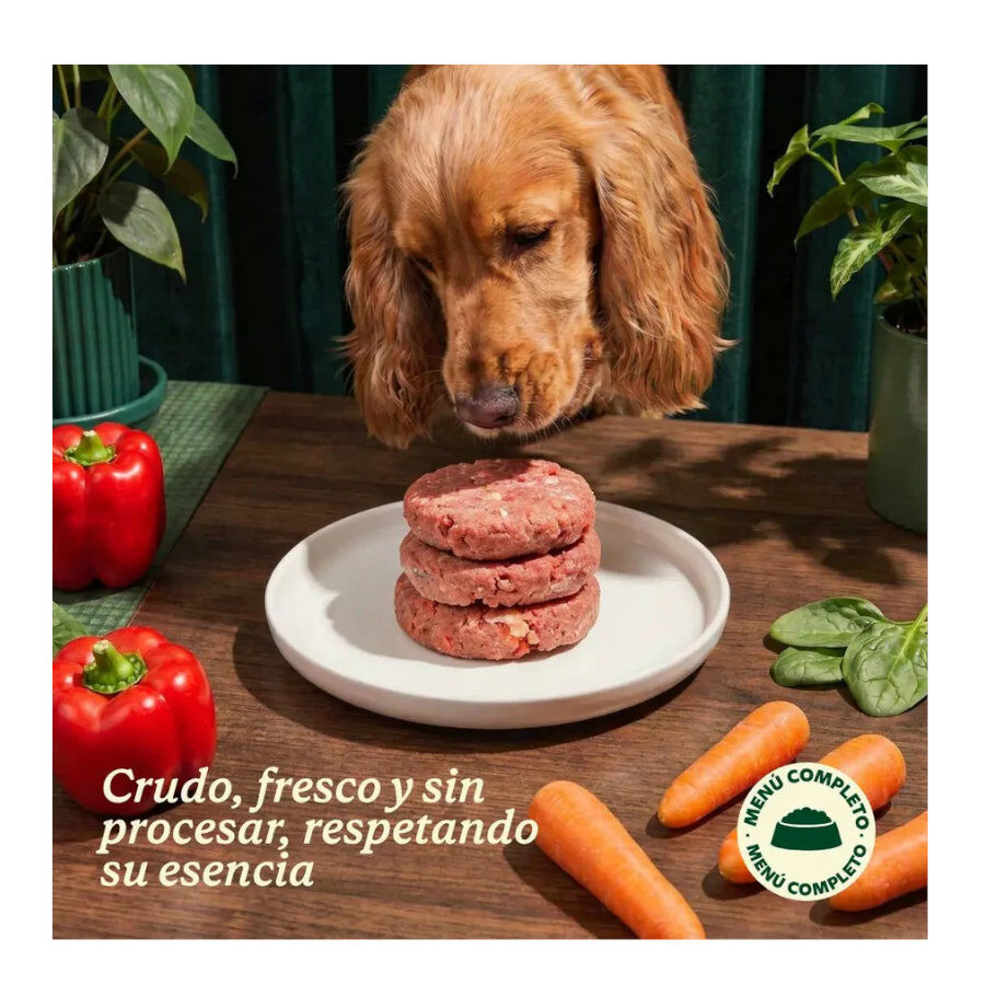 1 kg Wild Balance Men&uacute; Barf pollo y verduras comida congelada para perros, , large indicador imagen numero 7
