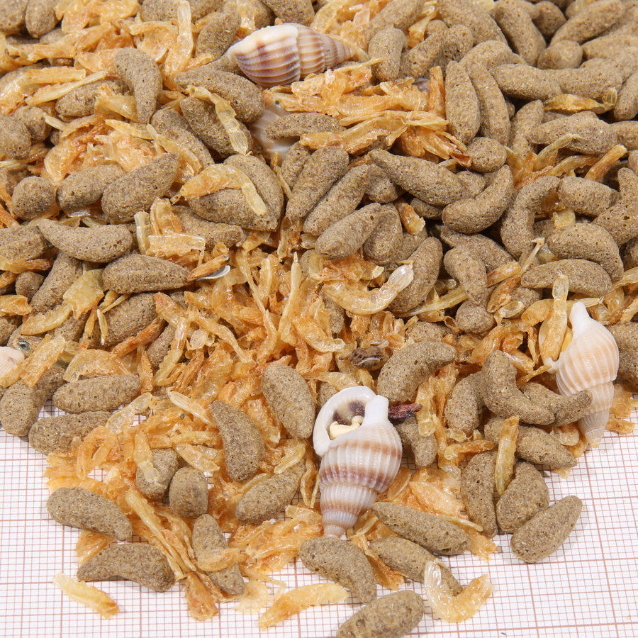 JBL Pro Terra Molluscus alimento para tortugas, , large Imagen numero 2
