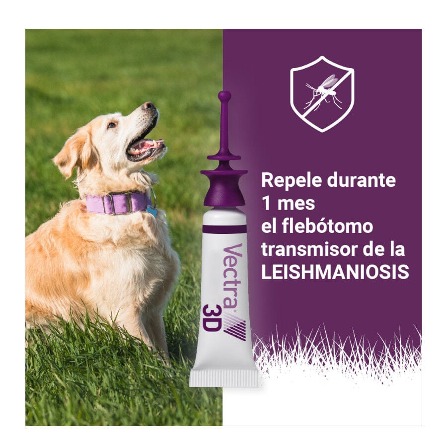 Vectra 3D Pipetas Antiparasitarias para perros, , large Imagen numero 7