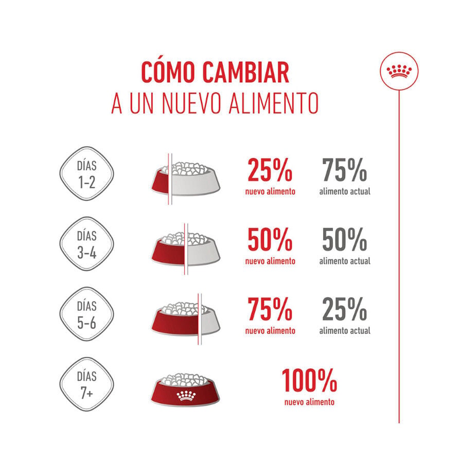 15 kg Royal Canin Puppy Maxi pienso para perros, , large Imagen numero 10