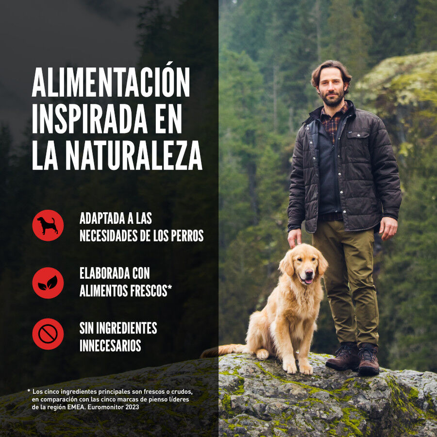 Orijen Large Breed Adult Pienso para perros, , large Imagen numero 6