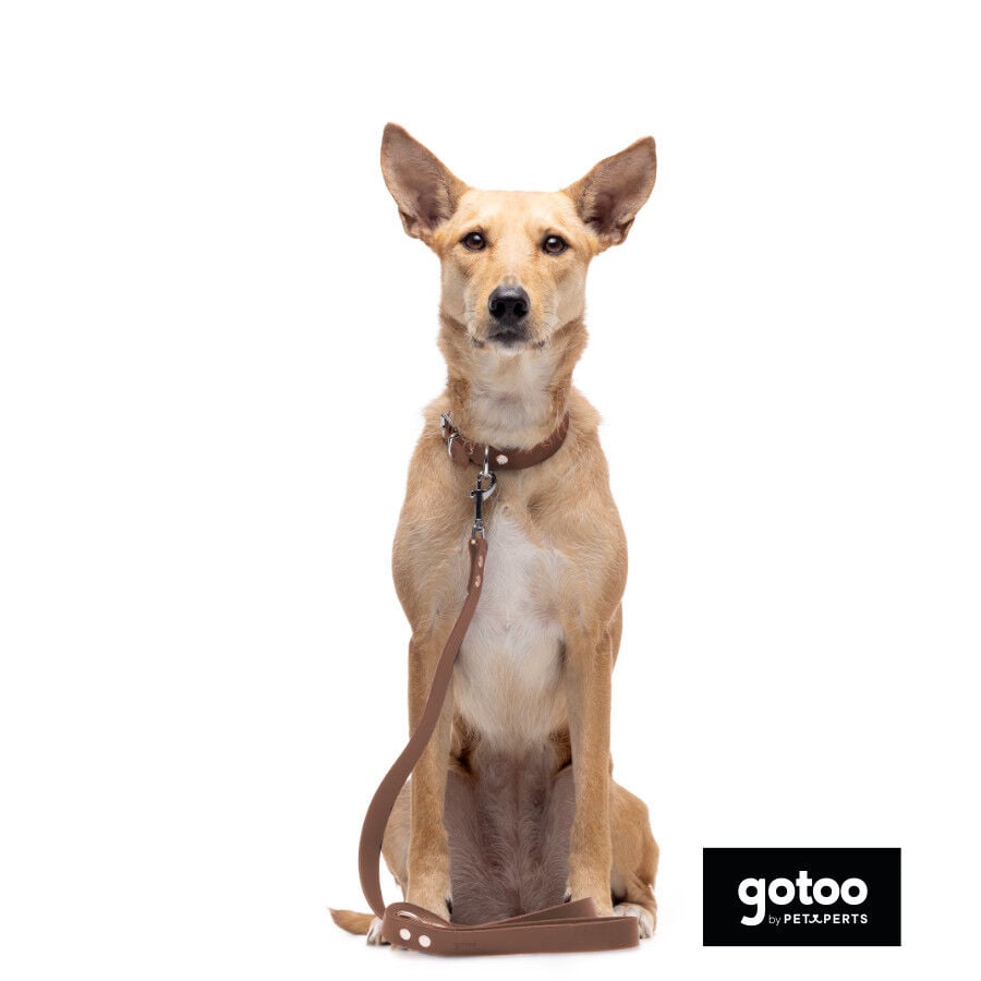 Gotoo Correa Biothane marr&oacute;n para perros, , large indicador imagen numero 5