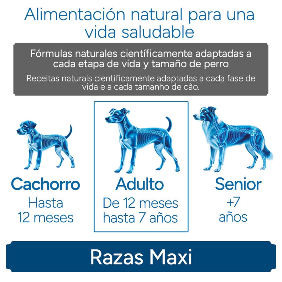 12 kg Criadores Cient&iacute;fico Adulto Maxi Pienso Pollo para perros, , large indicador imagen numero 11