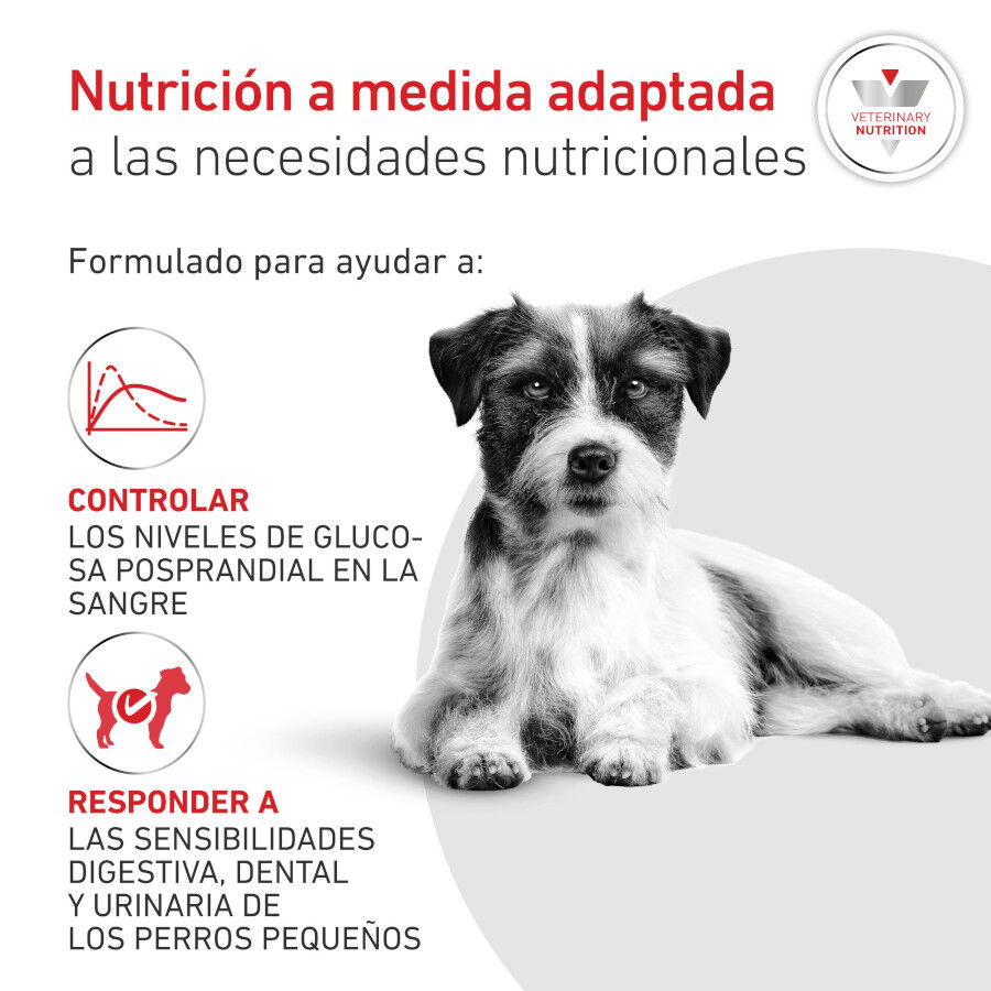1.5 kg Royal Canin Glycobalance Pienso para perros, , large Imagen numero 3