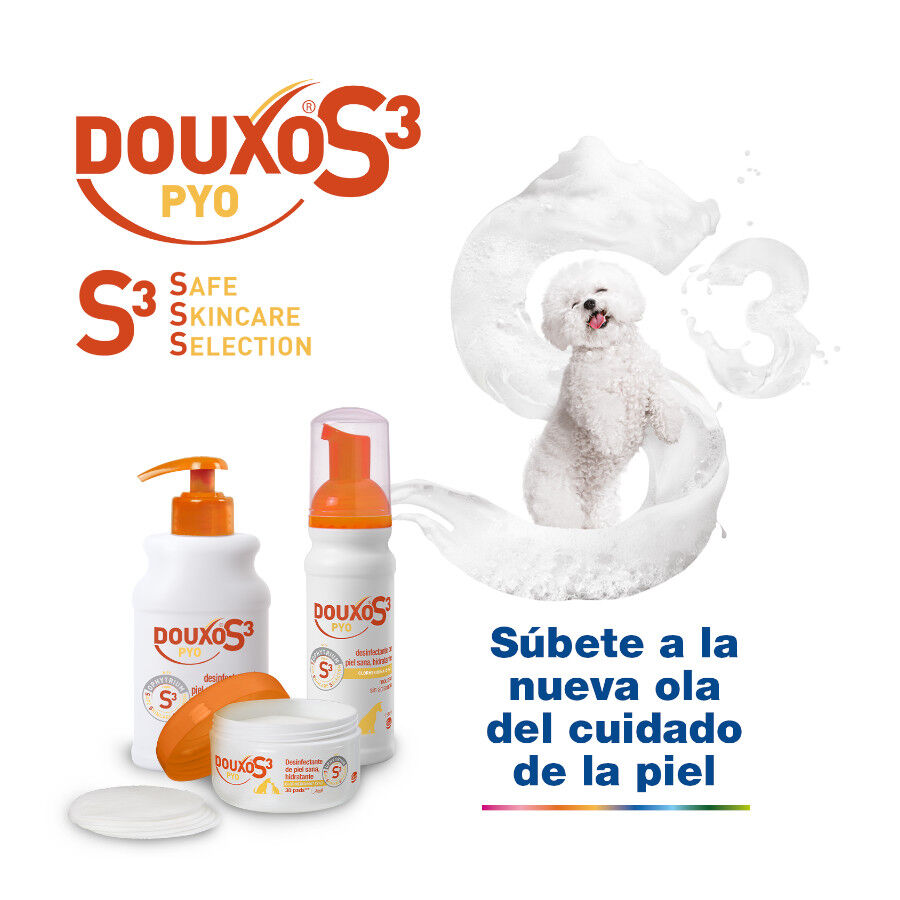 Douxo Pya Algod&oacute;n Desinfectante para perros y gatos, , large indicador imagen numero 6