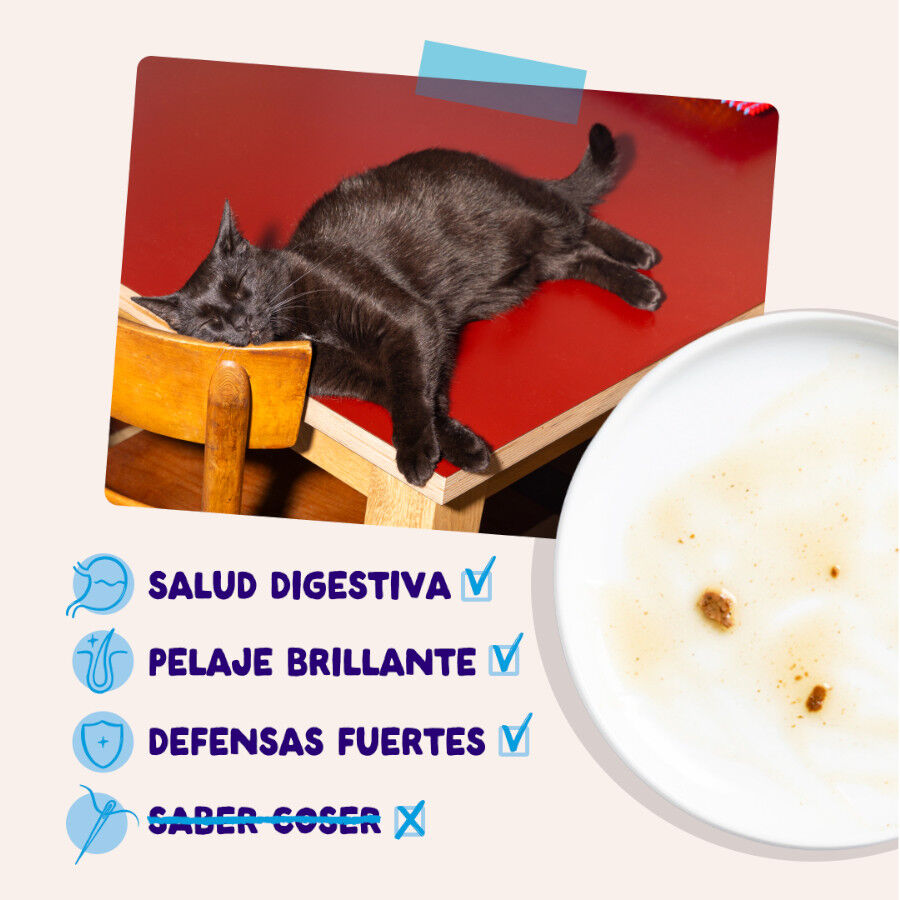 12 x 85 g Edgard & Cooper Selecci&oacute;n Captura del D&iacute;a sobre en salsa para gatos, , large indicador imagen numero 4
