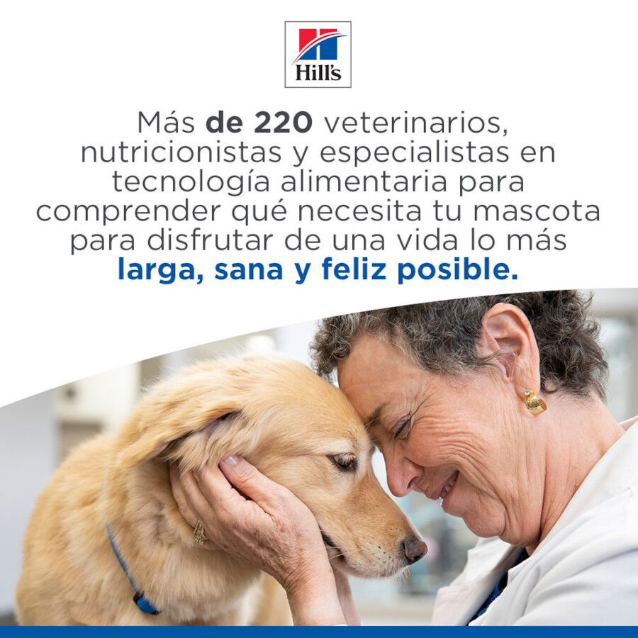 3 kg Hill's Science Plan Sterilised Kitten Pollo pienso para gatos, , large Imagen numero 9