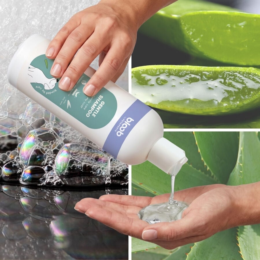 Bloob Champ&uacute; Piel Sensible Aloe Vera para perrros, , large Imagen numero 5