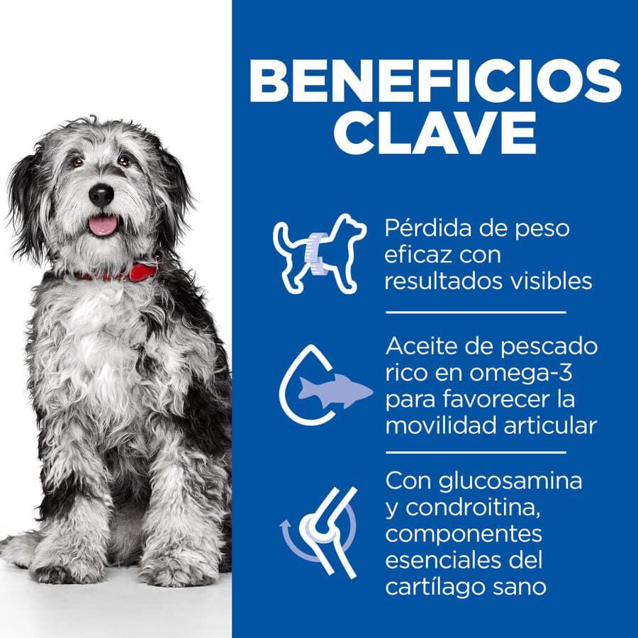 12 kg Hill's Science Plan Perfect Weight y Active Mobility pollo pienso para perros medianos, , large indicador imagen numero 4