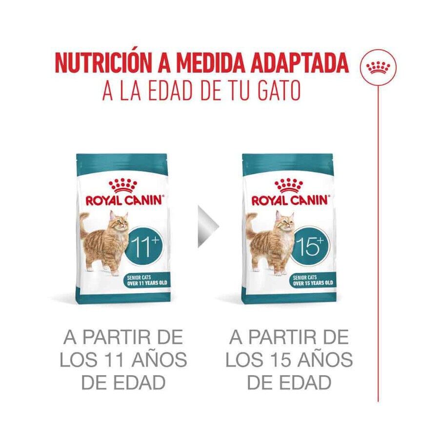 4 kg Royal Canin Ageing 11+ Sterilised pienso para gatos&nbsp;senior, , large Imagen numero 13