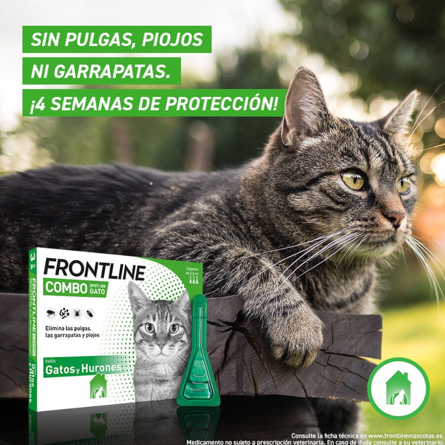 Frontline Combo Pipetas Antiparasitarias para gatos y hurones, , large Imagen numero 4