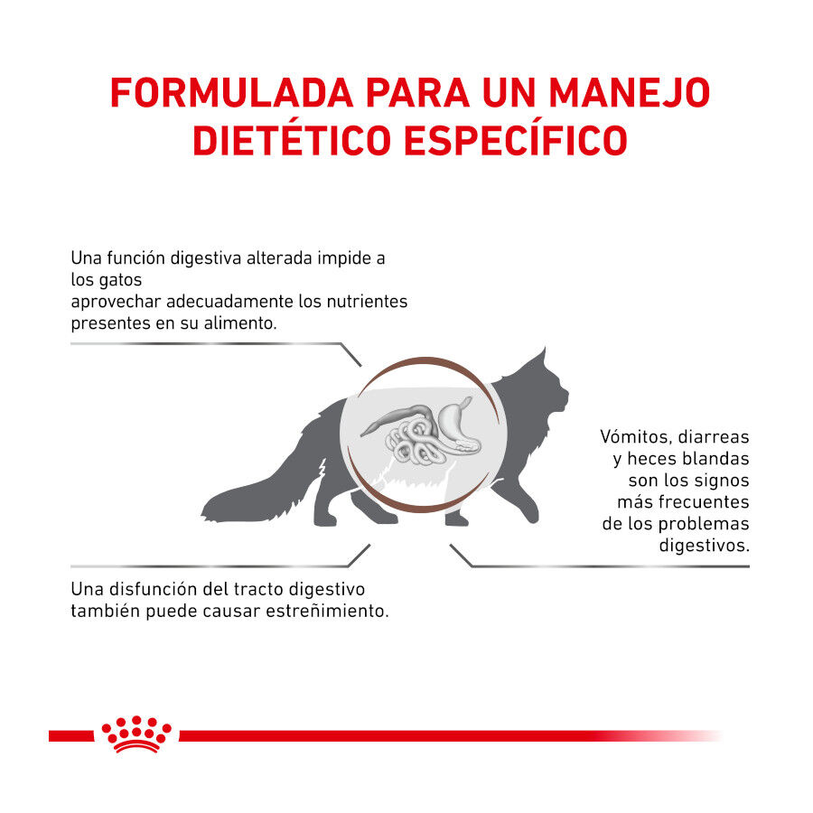 4 kg Royal Canin Veterinary Gastrointestinal Fibre Response pienso para gatos, , large Imagen numero 5