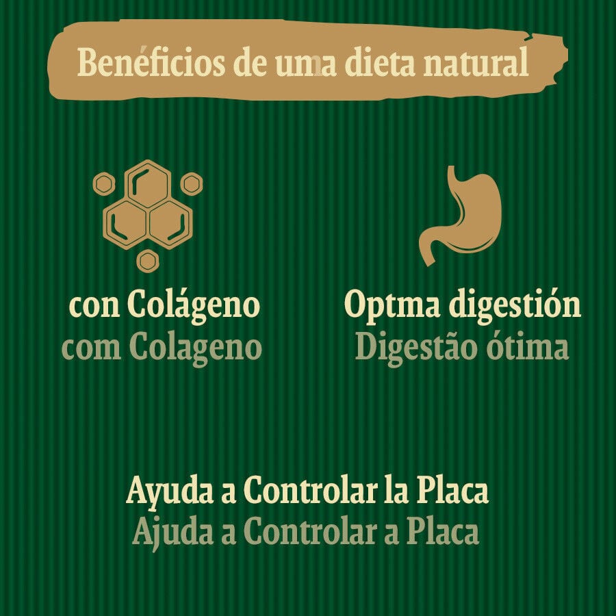 1 ud. True Origins Wild Dental Care Chewing Sticks Snack para perros, , large indicador imagen numero 5