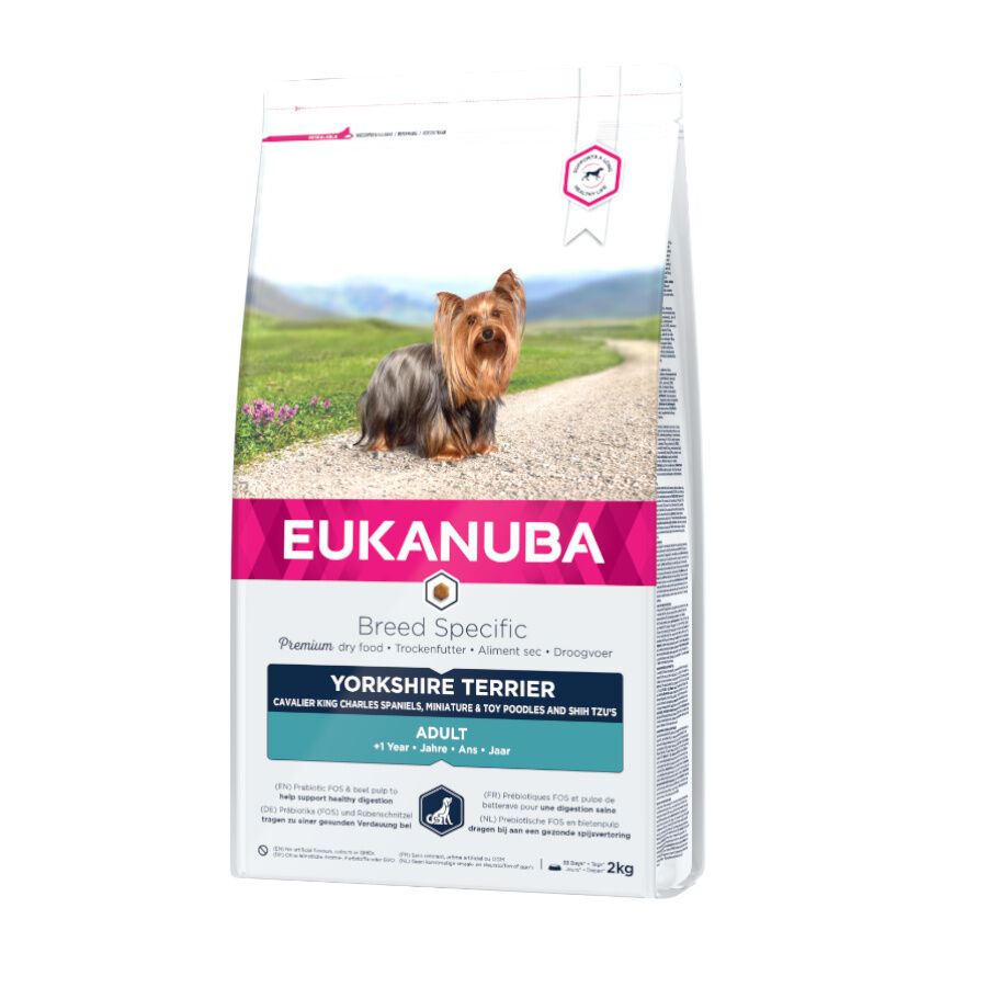 2 kg Eukanuba Adult Yorkshire Terrier pienso para perros, , large indicador imagen numero 1