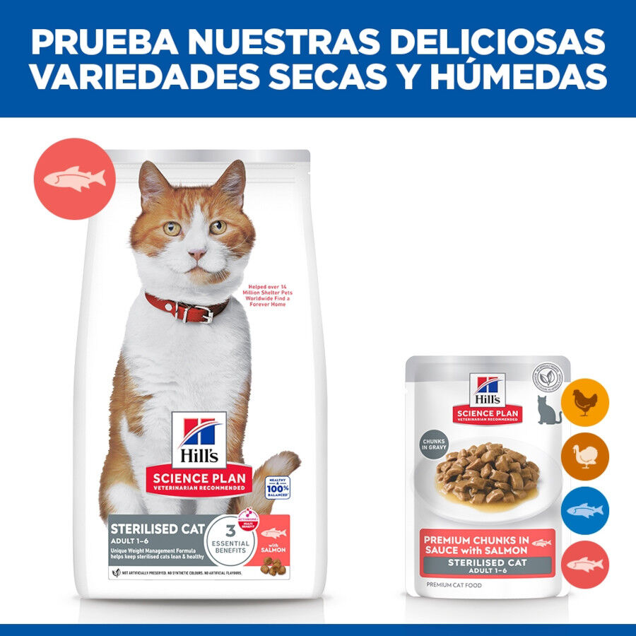 85 g Hill's Science Plan Sterilized Young Adult Salm&oacute;n sobre para gatos, , large indicador imagen numero 6