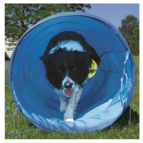 Ribecan t&uacute;nel flexible de agility para perros Imagen numero 1