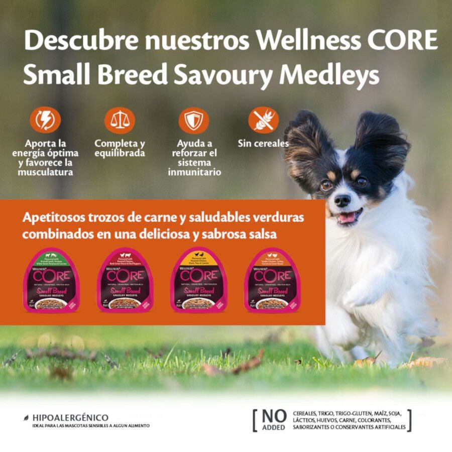 85 g Wellness Core Small Breed Grain Free Pollo y Ternera tarrina para perros, , large indicador imagen numero 3