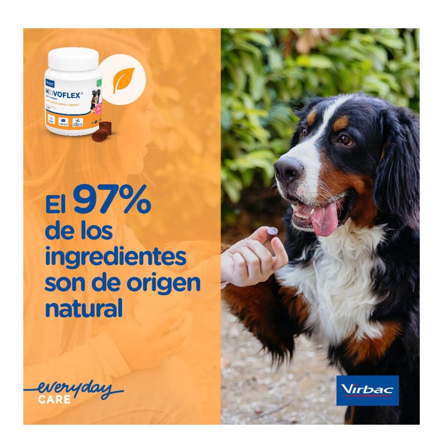 Virbac Movoflex Condroprotector para perros, , large Imagen numero 3