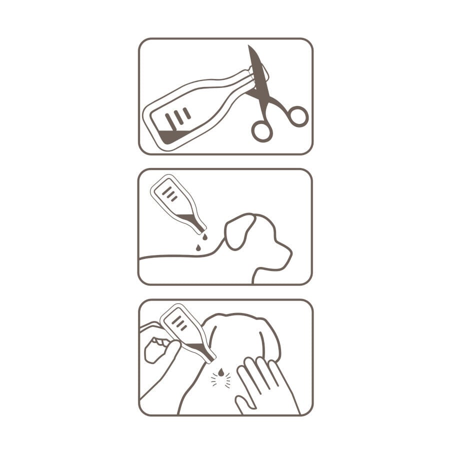 Beaphar FiproTec Pipetas para perros, , large Imagen numero 7