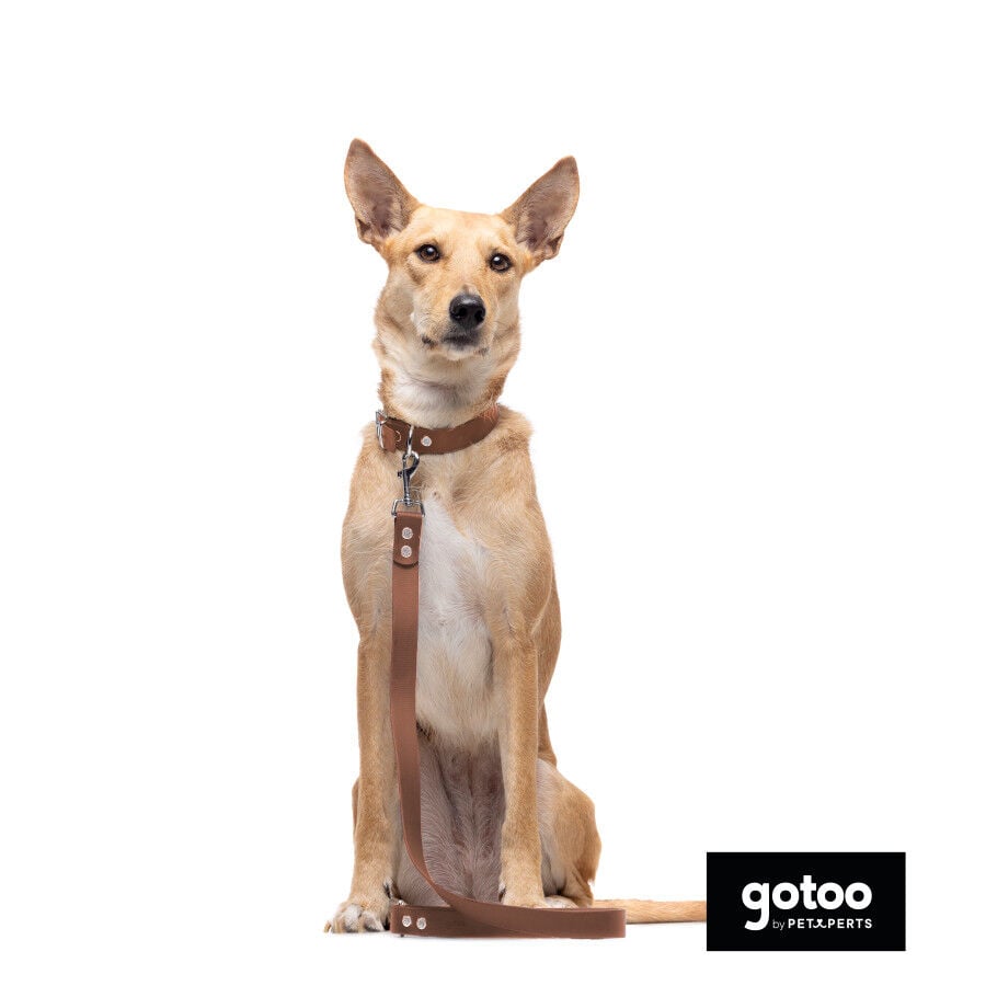 Gotoo Correa Biothane marr&oacute;n para perros, , large indicador imagen numero 3