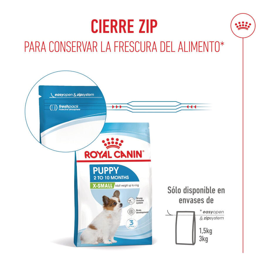 3 kg Royal Canin X-Small Puppy pienso para perros, , large Imagen numero 11